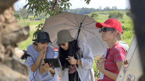 Directora Una rama