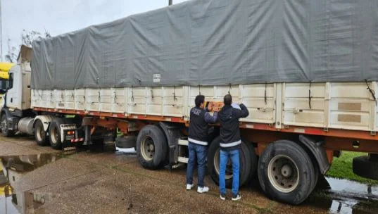 2-LA-AFIP-INCAUTO-GRANOS-VALUADOS-EN-MAS-DE-27-MILLONES