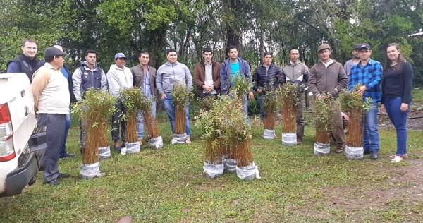 Productores-carboneros-recibieron-plantines-de-eucaliptos-