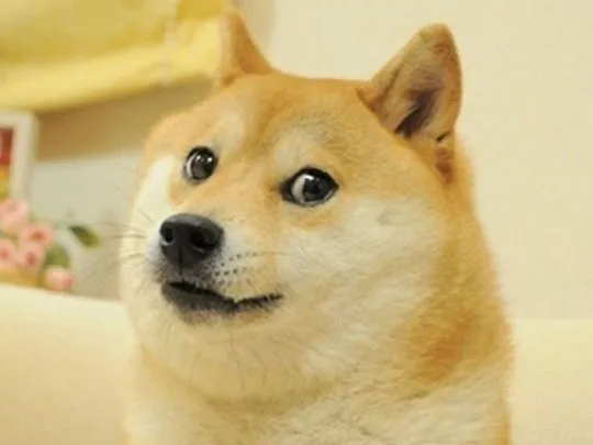 dogecoin-memejpg