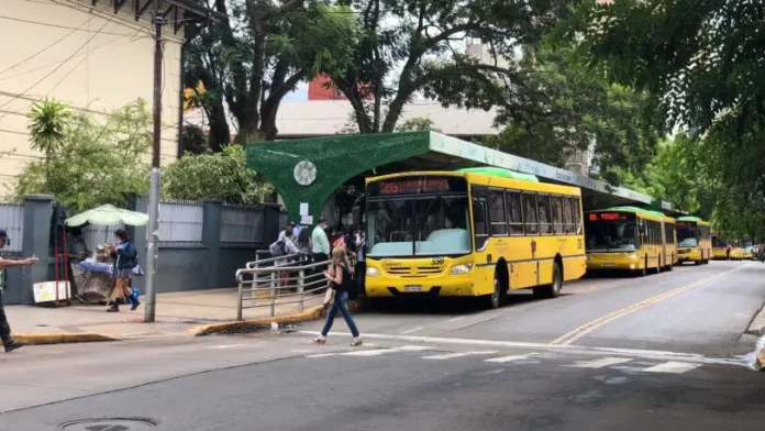 COlectivo-696x392