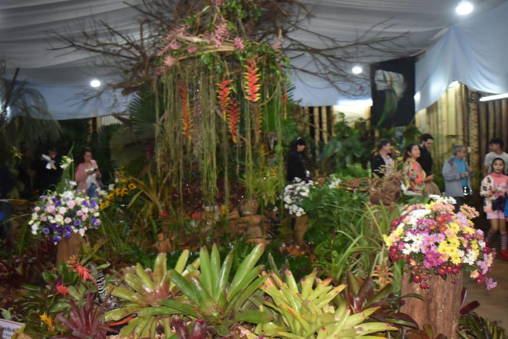 Comenzó La 32° Fiesta Nacional De La Orquídea Y 39° Provincial De La Flor En Montecarlo 4110