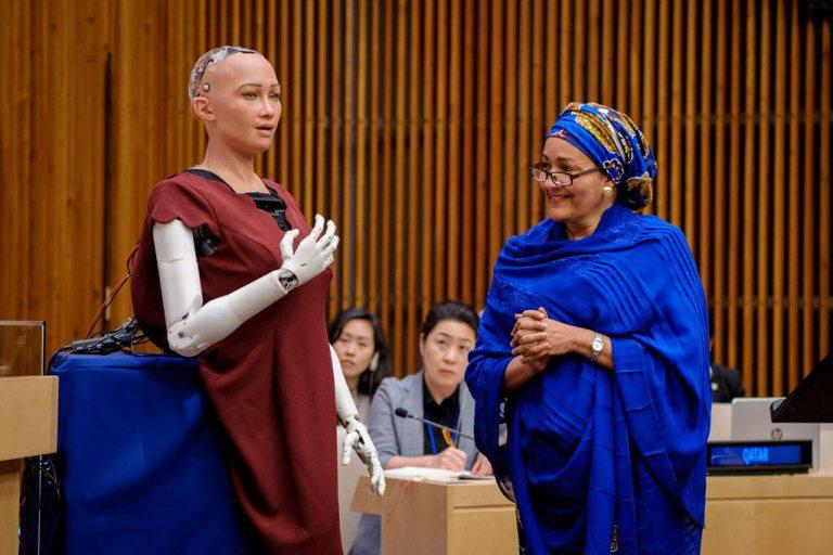 737776-Amina-robot