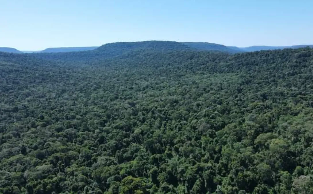 biodiversidad