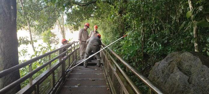 Cataratas-3-696x313