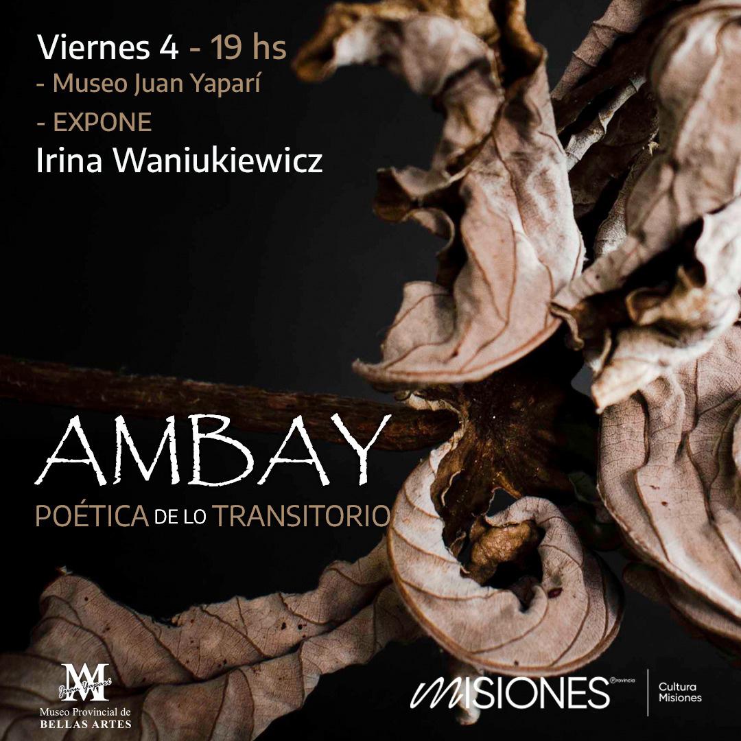 20230802_ambay-1