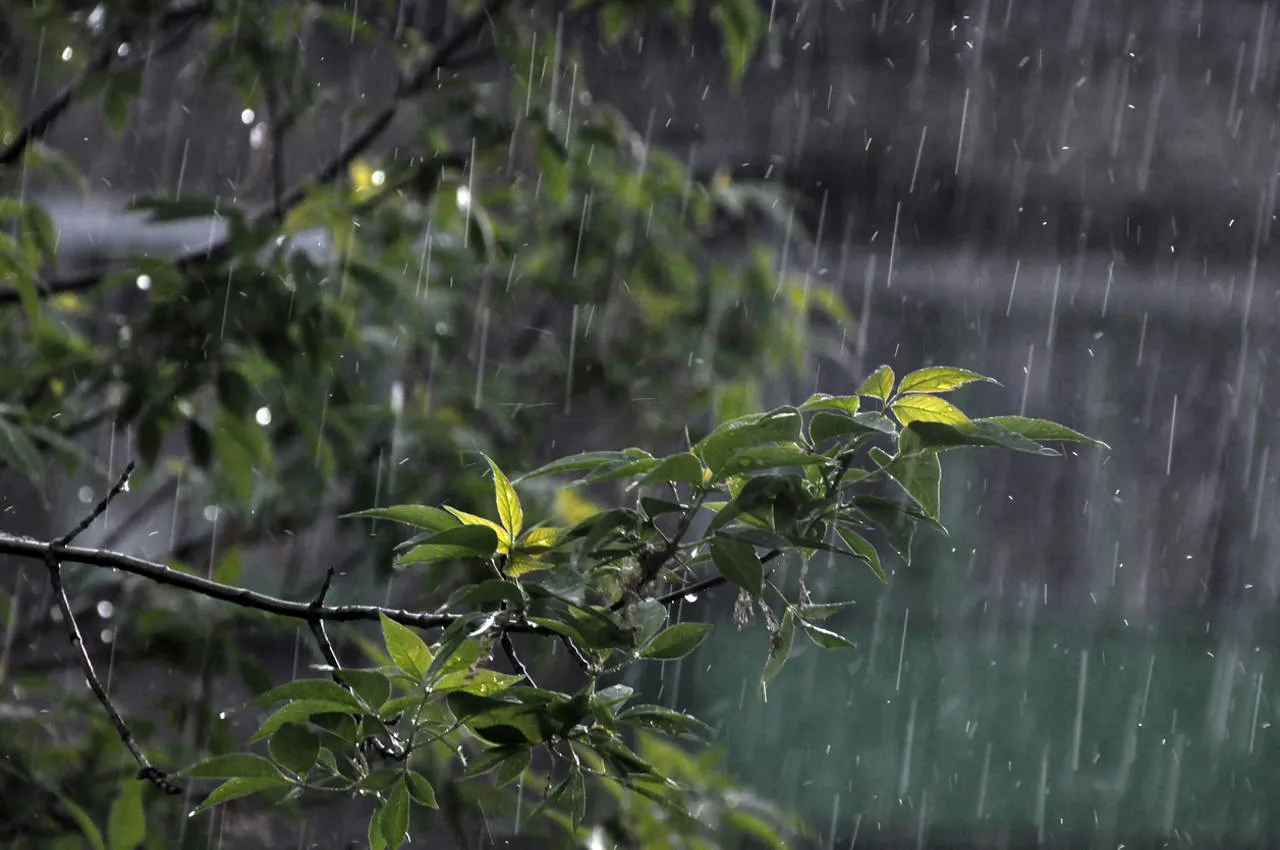 1746492010647-1000633552