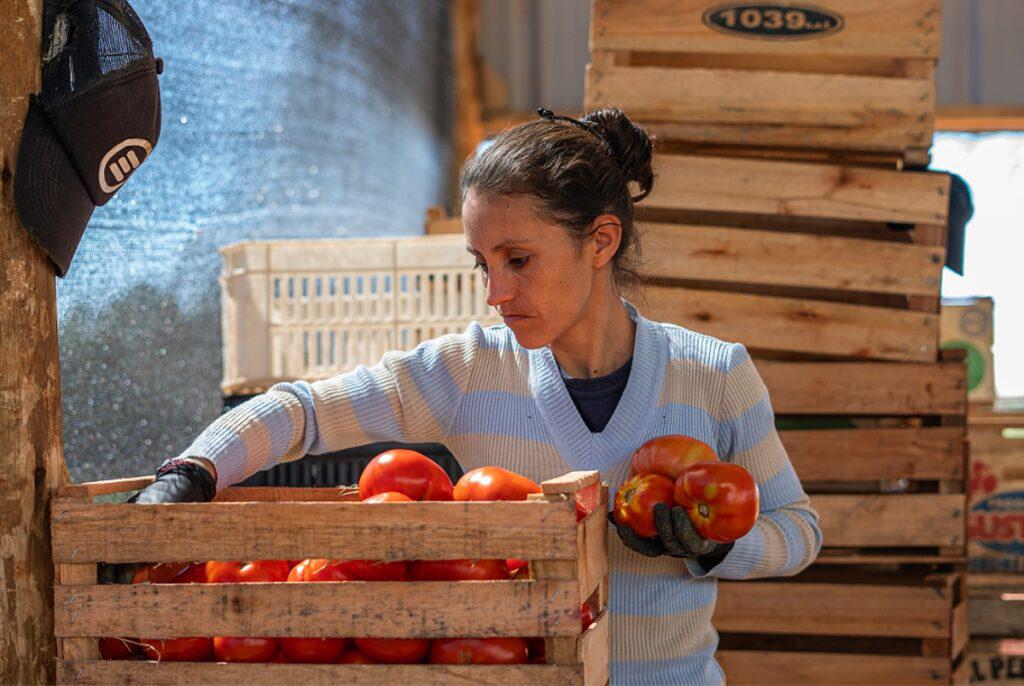productos-misioneros-mercado-1024x686