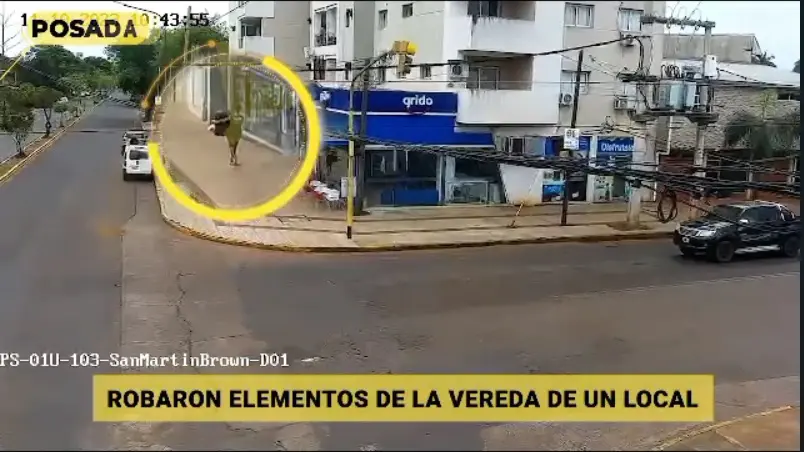 Ladrones-camara.jpg