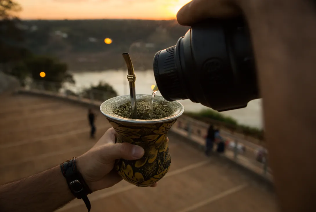 yerba-mate (3)