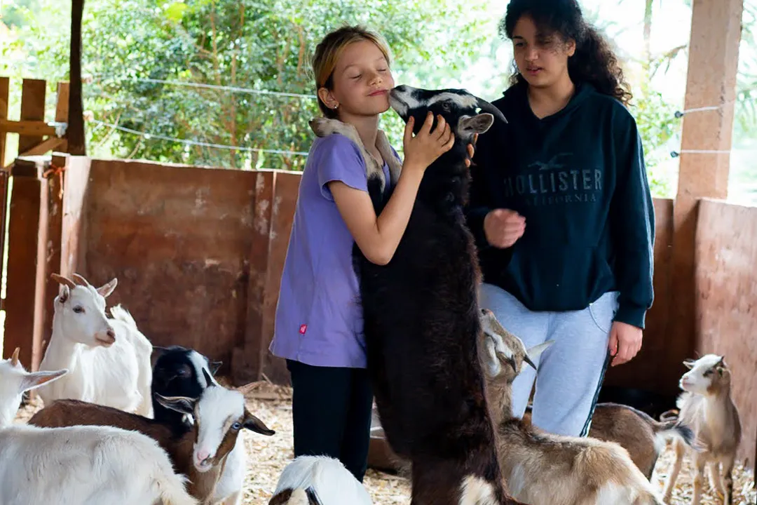 Visita-guiada-por-la-granja11