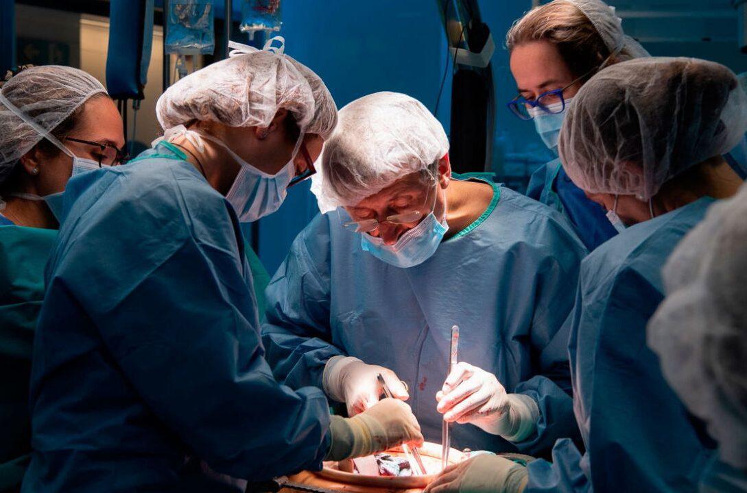 Dia-del-Transplante-1280x720-1-1089x720