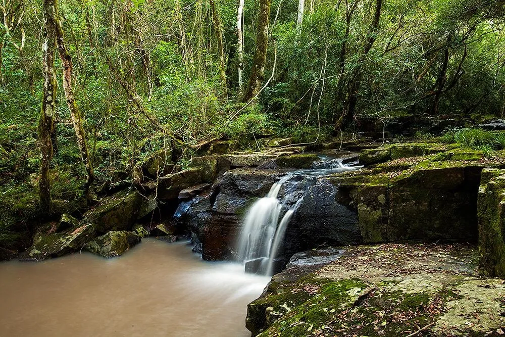 reserva-campo-san-juan-mnes