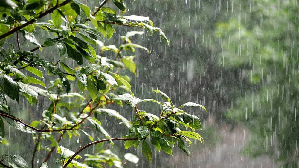 lluvia@2x
